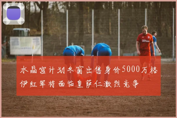 水晶宫计划冬窗出售身价5000万格伊红军将面临皇萨仁激烈竞争
