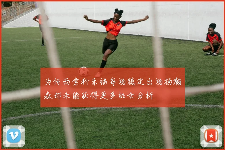 为何西索科乐福每场稳定出场杨瀚森却未能获得更多机会分析