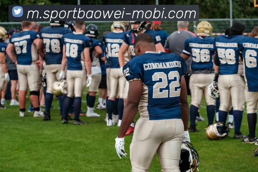 App Interface Preview