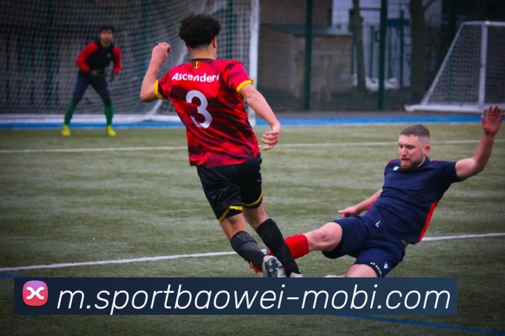 宝威体育APP 封面图